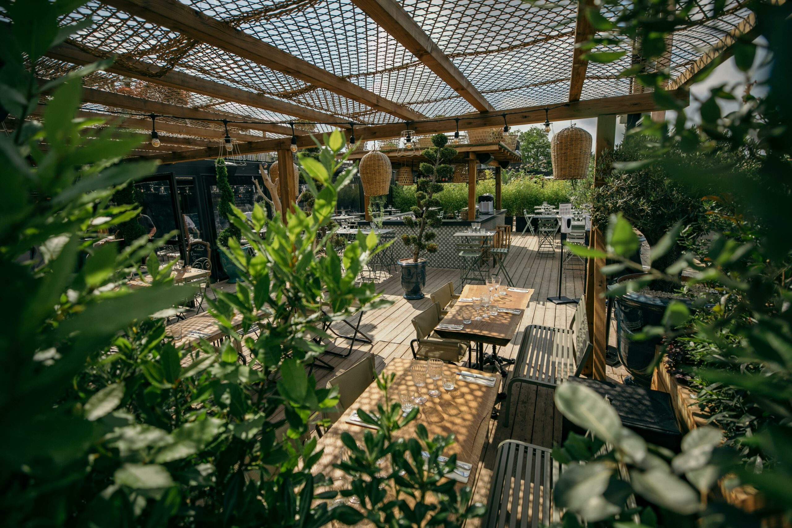 Créer un jardin de collection privé avec des plantes rares | Arborea