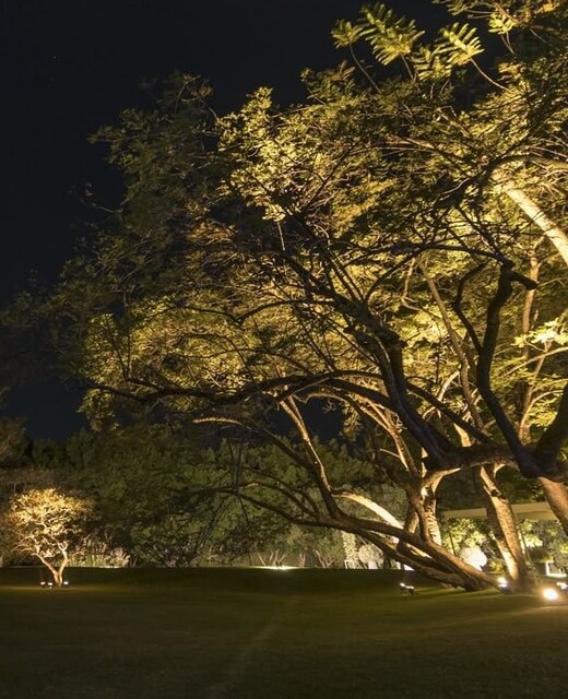 système complet éclairage arbre extérieur